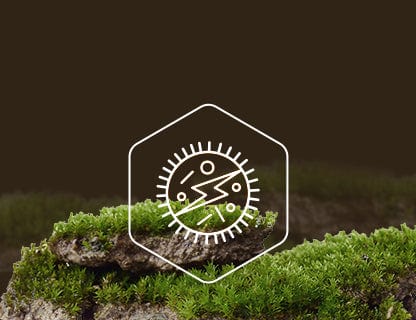 Nicotinamid-Ribosid-Chlorid, die Energiequelle der Zellen