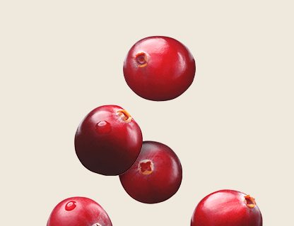 PREISELBEEREN – AUS VACCINIUM MACROCARPON FRUCHTEXTRAKT 