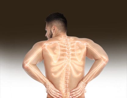 ... unterstützt die Abläufe in deinem Körper