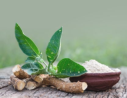 Verwendung von Wurzel und Blatt