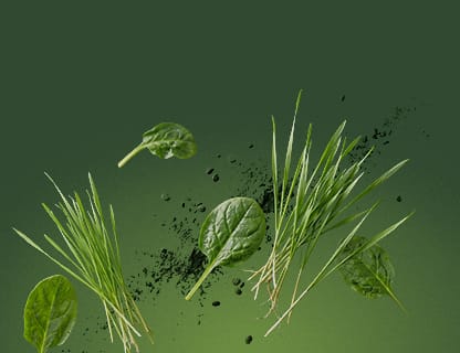 Vielfältige Superfoods
