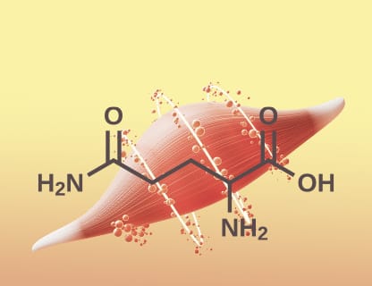 Glutamin