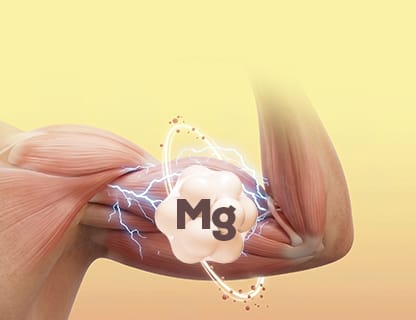 Organisches Magnesiumbisglycinat