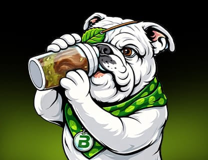 EAA Hund