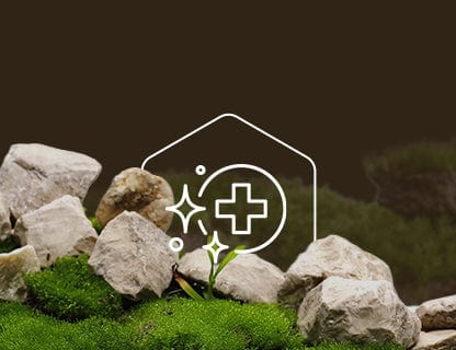 Trans-Resveratrol, die Kraft der Polyphenole