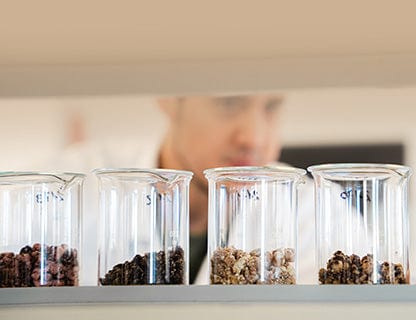 Du suchst eine harmonische Zusammensetzung