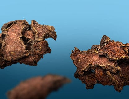 Ein alter Favorit nordischer Kulturen